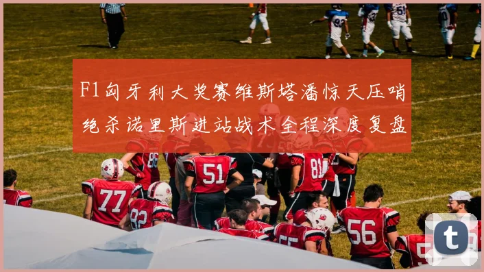 F1匈牙利大奖赛维斯塔潘惊天压哨绝杀诺里斯进站战术全程深度复盘解析